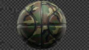 Camouflage Basketball