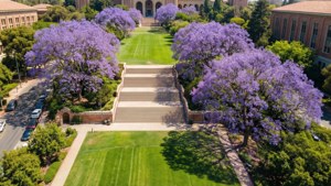 Campus Aerial Spring Bloom
