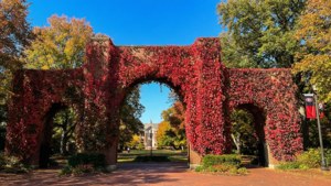 Campus Autumn