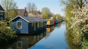 Canal Blooms