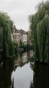 Canal Serenity