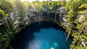 Cancun Cenote Oasis