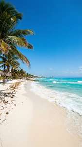 Cancun Tropical Beach
