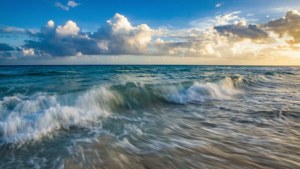 Cancun Wave Motion
