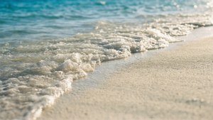 Cancun White Sand Shore
