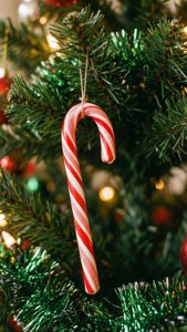 Candy Cane on Tree