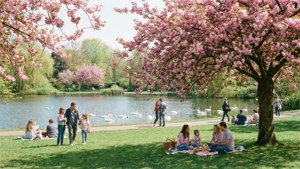 Cannon Hill Spring