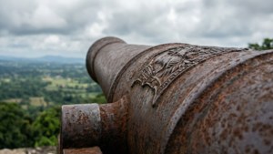 Cannon's Gaze