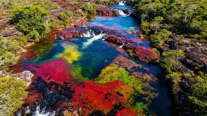 Cano Cristales River