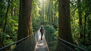 Canopy Walkway