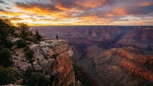 Canyon Overlook Tangrowth