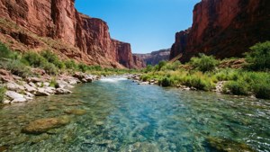 Canyon River Flow