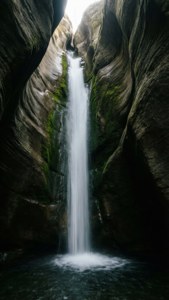 Canyon Serenity