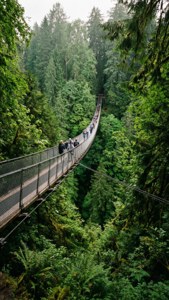 Capilano Suspension Bridge
