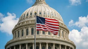 Capitol and Flag