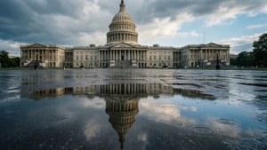 Capitol Puddle Reflection