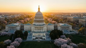 Capitol Sunrise Bloom