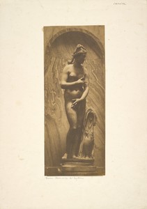 [Capitoline Venus]