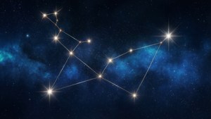 Capricorn Constellation Night