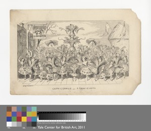 Capricornus - A Caper- o' - corns