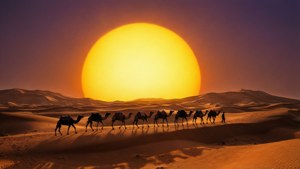 Caravan at Dusk