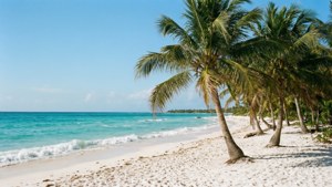 Caribbean Paradise Beach