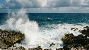 Caribbean Rough Coastline