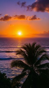 Caribbean Sunset Dominica