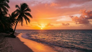 Caribbean Sunset Palm Silhouettes