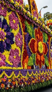 Carnival of Flowers Float