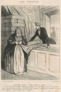 Carotte du calicot