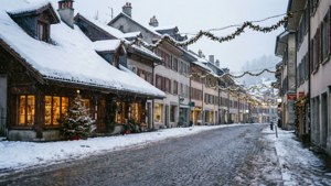 Carouge Winter Snow