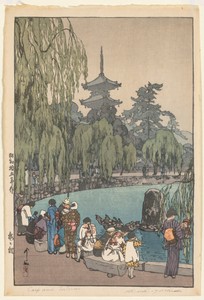 Carp and Tortoises