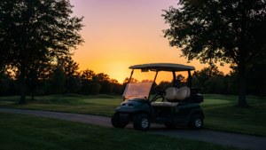 Cart at Dusk