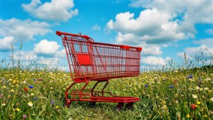 Cart in Wildflowers