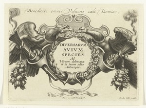 Cartouche geflankeerd door een arend en een pauw