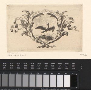 Cartouche met feniks