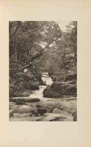 Cascade on the East Lynn