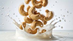 Cashew Splash