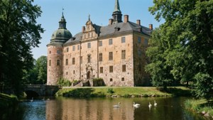 Castle and Swans
