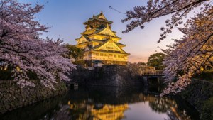 Castle in Cherry Blossom