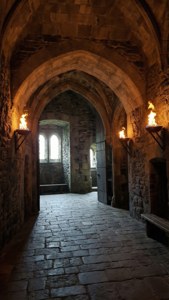 Castle Interiors