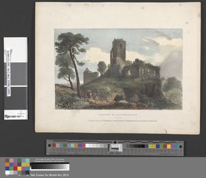Castle of Ballincolly, Cork