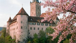 Castle Spring Blossoms
