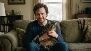 Cat and Comfort