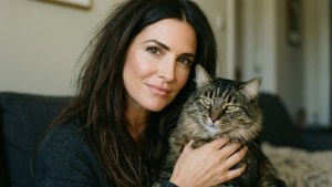 Cat Companion