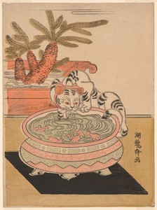 Cat Pawing at Goldfish