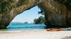 Cathedral Cove Summer