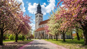 Cathedral in Bloom