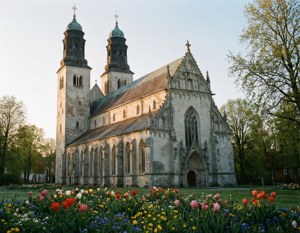 Cathedral in Spring Bloom